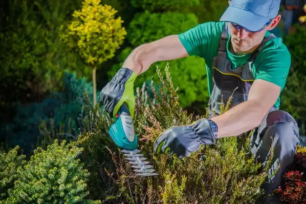 landscaping services Crestline